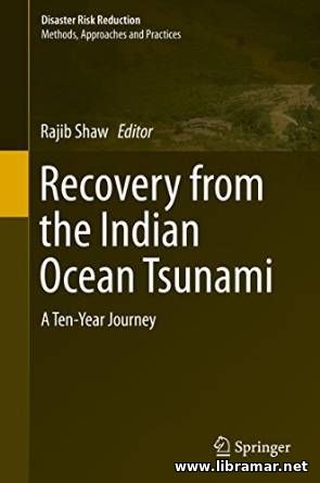 Recovery from the Indian Ocean Tsunami